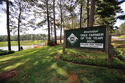 A green sign, framed in wood, reads, “Mississippi Tree Farmer of the Year 2001.”