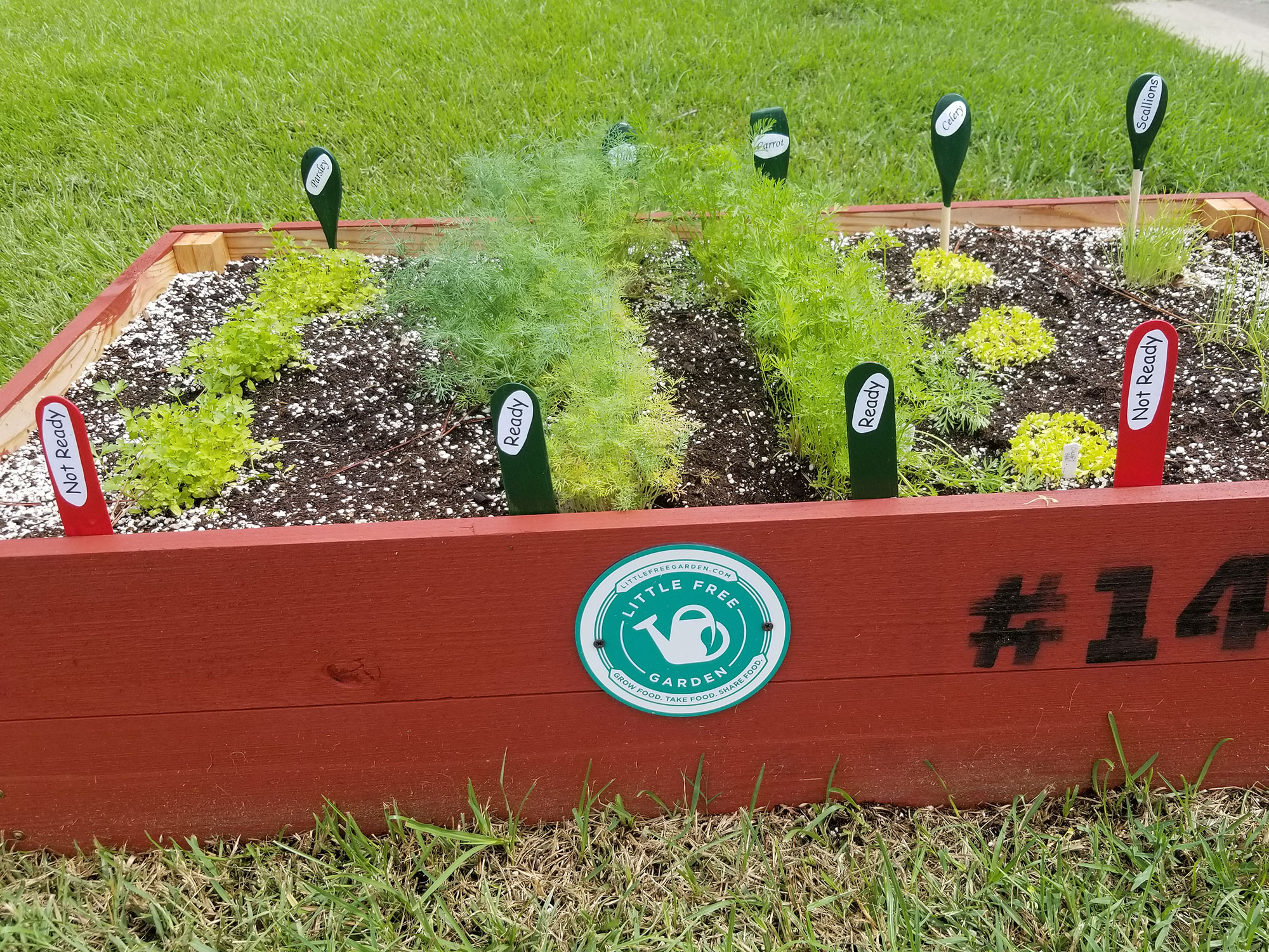 A wooden, rectangular, red box with “#146” painted on the side is filled with soil and small green plants. Each plant is labeled with a green or red tag.