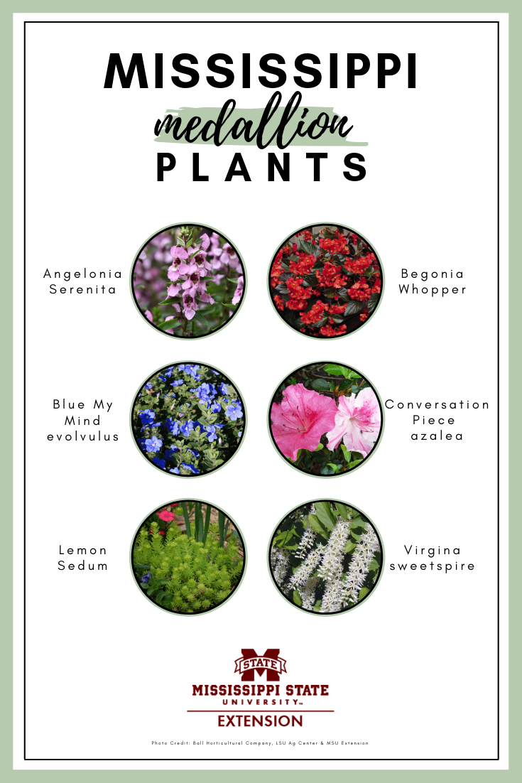 A graphic shows six Mississippi Medallion plant selections in circular photos placed evenly in the center of a white background. Descriptions are in the text.