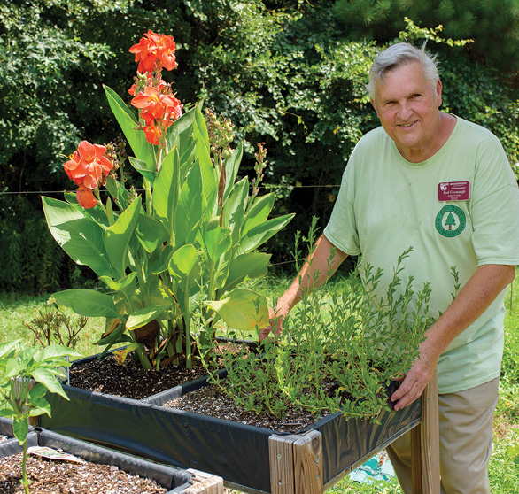 A person stands behind a salad table with plants.