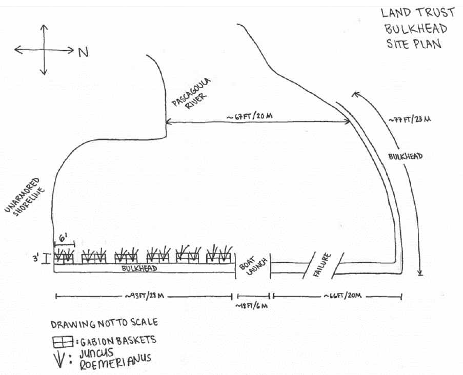 Overhead view of the drawing from page 15. Labeled sections include the Pascagoula River, bulkhead, unarmored shoreline, areas where gabion baskets and Juncus roemerianus will be next to a bulkhead along the shore, boat launch, and failure. 