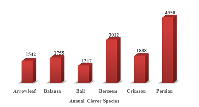 Bar graph: Arrowleaf, 1,542 pounds; balansa, 1,755 pounds; ball, 1,217 pounds; berseem, 3,012 pounds; crimson, 1,888 pounds; Persian, 4,550 pounds.