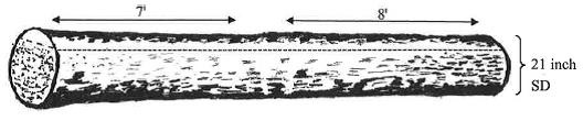 A 16-foot butt-log with enough clear wood sections (7 and 8 feet) that the butt-log can be classified as an F1-grade tree.