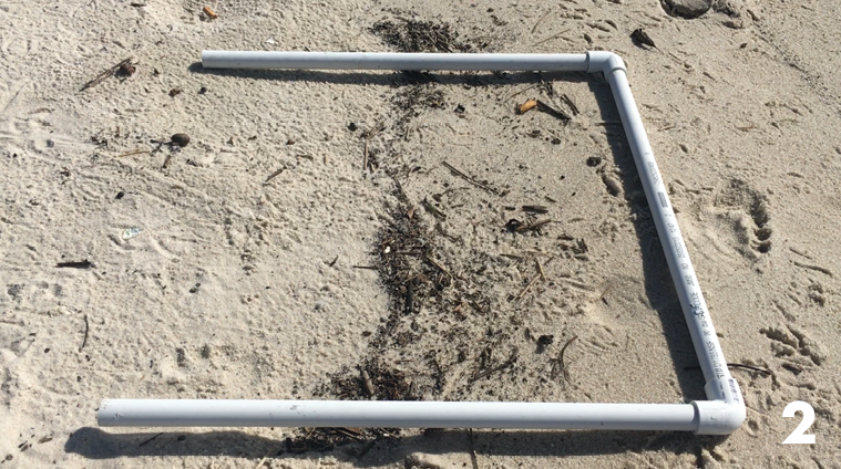 A quarter meter square quadrat is placed in the sand over the wrack line running through the middle. 