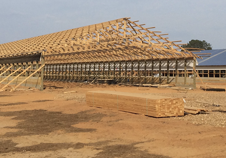 Framed building under congstruction.