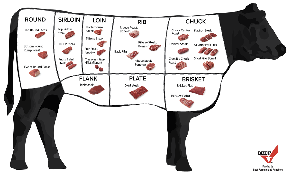 Outline of a beef cow with primal sections and retail cuts labeled.