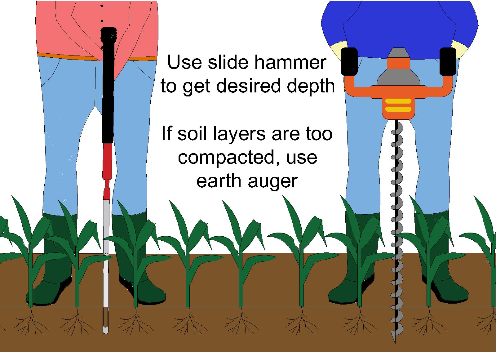 Illustration of a person using a slide hammer in a row of plants and another person using an earth auger because soil layers are too compacted.