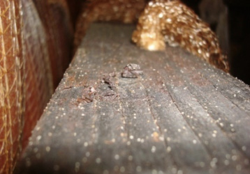 A wooden drying rack has hundreds if not thousdands of mites on it. 