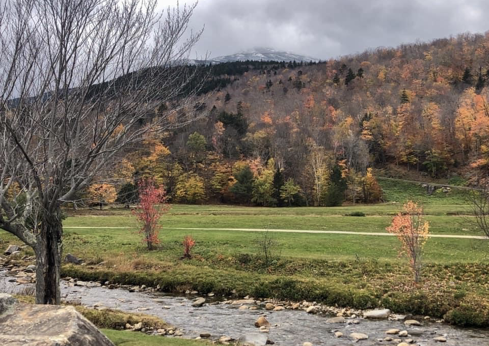 A landscape features a rocky stream and a forest of trees with yellow, green, orange and red leaves.