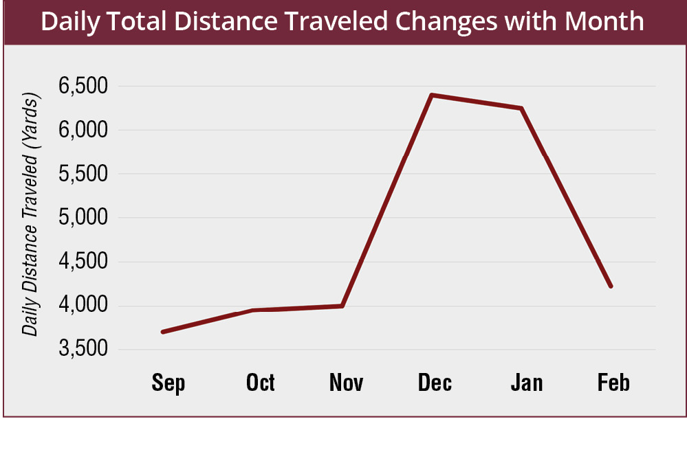 The daily total distance traveled (in yards): September, about 3,750; October and November, about 4,000; December, almost 6,500; January, about 6,250; and February, about 4,200.