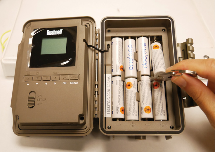 The Bushnell camera battery panel shows eight white installed batteries. A hand holding a metal multi-tool pries out a battery from its negative end in the upper right corner of the panel.