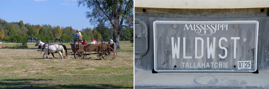 A horse-drawn wagon with two people in the drivers seat and 6 riders in the carriage; a dust-covered Mississippi license tag that reads “WLDWST” and “Tallahatchie” County.