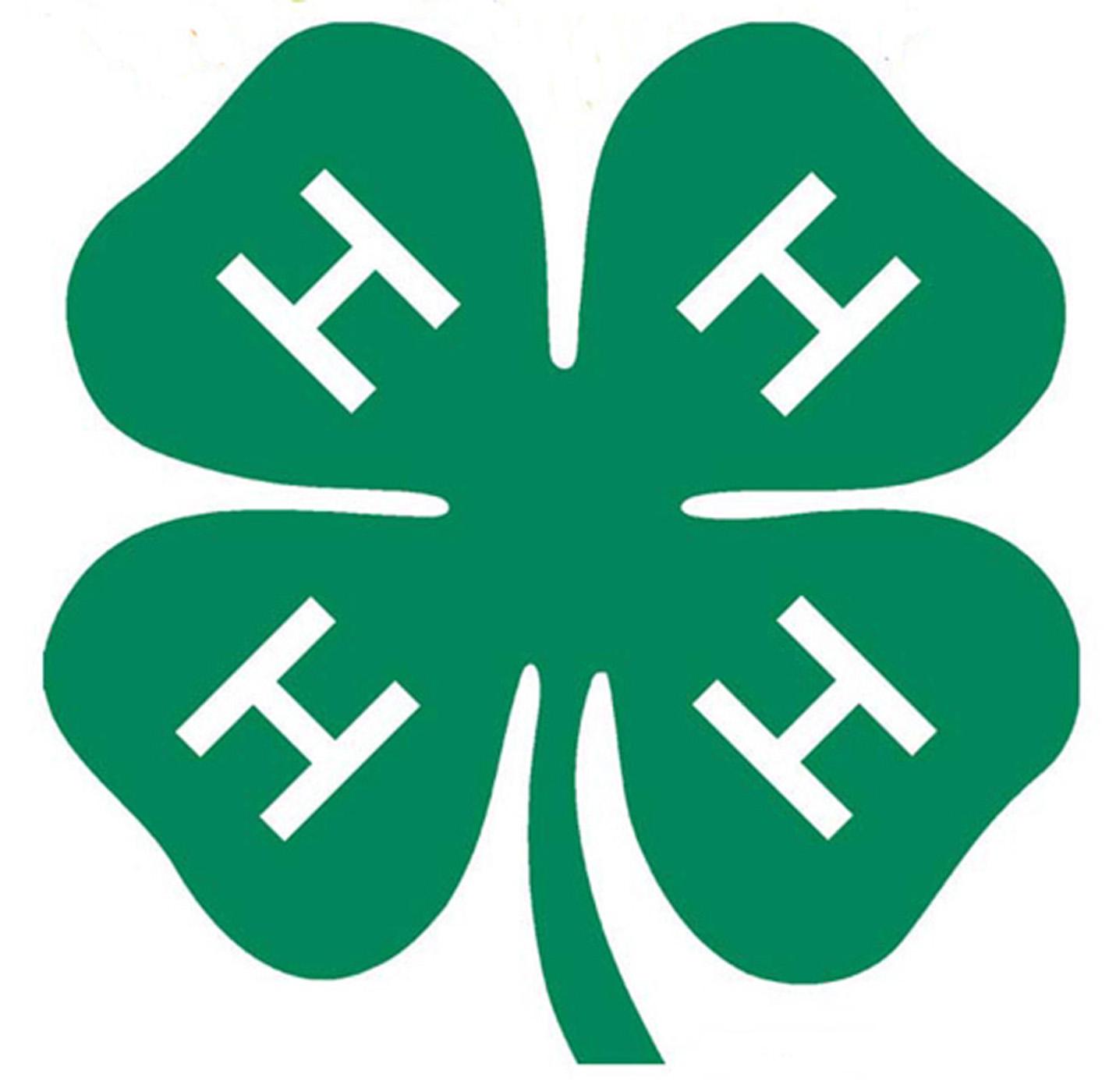 4-H Clover