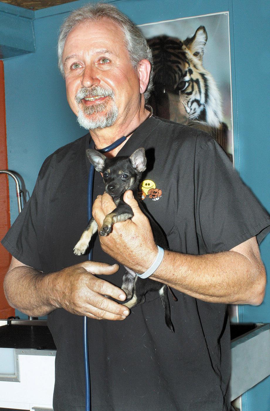 Perkins holds one of his small patients Wednesday at Iuka Animal Clinic, the practice he started after his 1971 graduation. (Photo by Steve Beavers, Daily Corinthian)