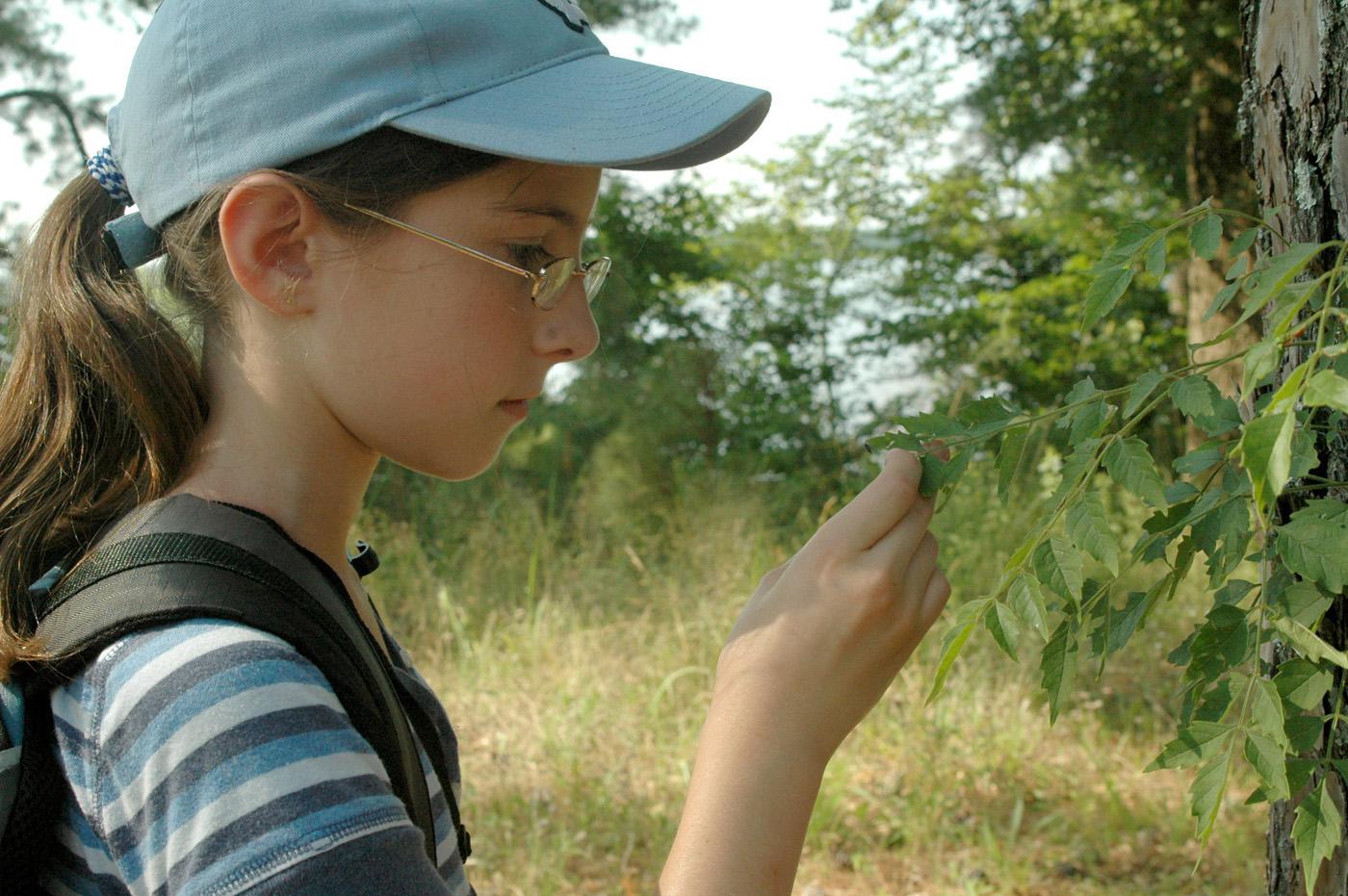 Savannah Munn , 10, of Starkville selects a leaf specimen during the insect and plant ecology camp at Mississippi State University.