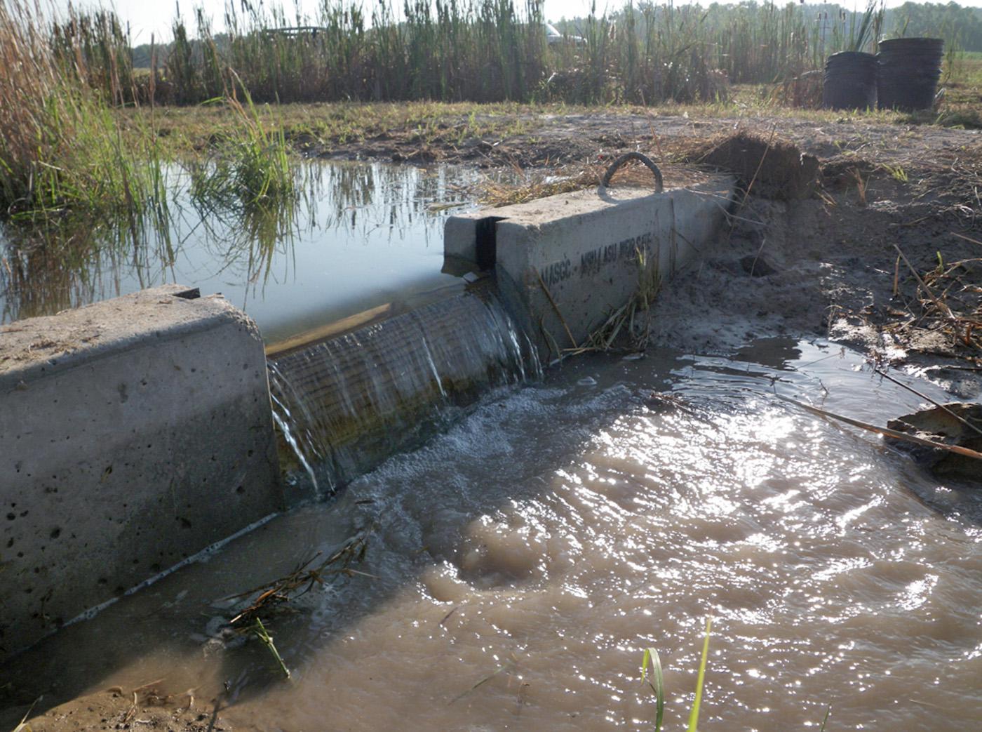 Weirs, also known as check dams, are small dams used to collect water runoff from agricultural fields. They are concrete can be moved to various locations in a drainage ditch. (Photo by MSU Wildlife, Fisheries and Aquaculture /Robbie Kr&ouml;ger)  