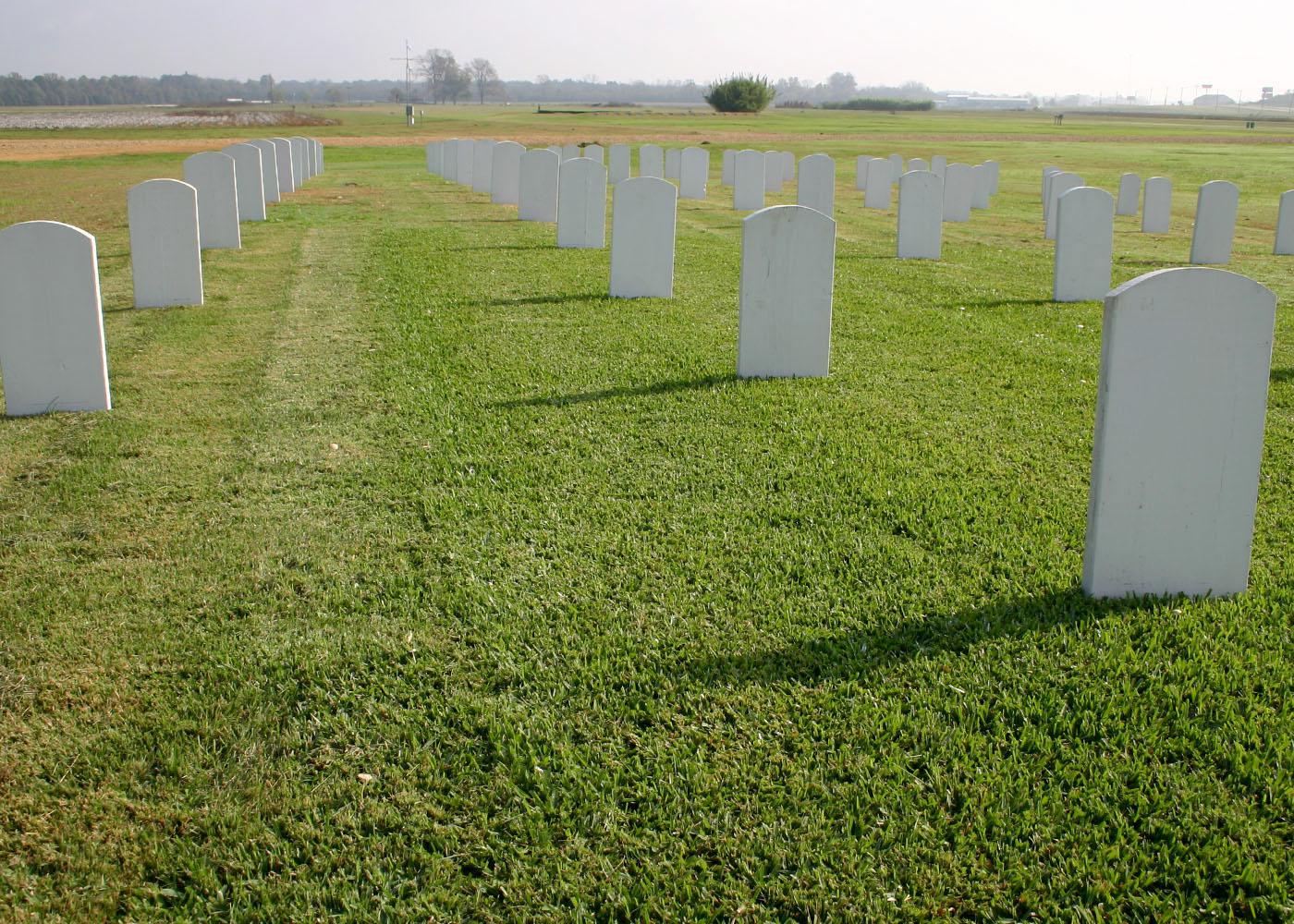 Mississippi State University completed a three-year study of how turfgrass varieties perform in cemetery settings. These fake headstones dot the turf at the research plot on MSU's R.R. Foil Plant Science Research Center. (Photo by Mississippi Agricultural and Forestry Experiment station/Wayne Philley)