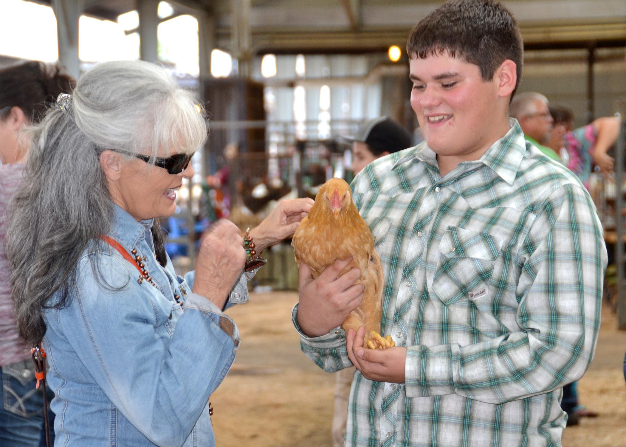 Rachel Harvey of Monticello pets Bob, a buff Plymouth Rock chicken raised by Stone County 4-H member Aaron Scara. Bob was one of six chickens Scara entered into the poultry show at the Mississippi State Fair on Oct. 12. The poultry show returned to the state fair in 2013 after a 30-year absence. (Photo by MSU Ag Communications/Susan Collins-Smith)