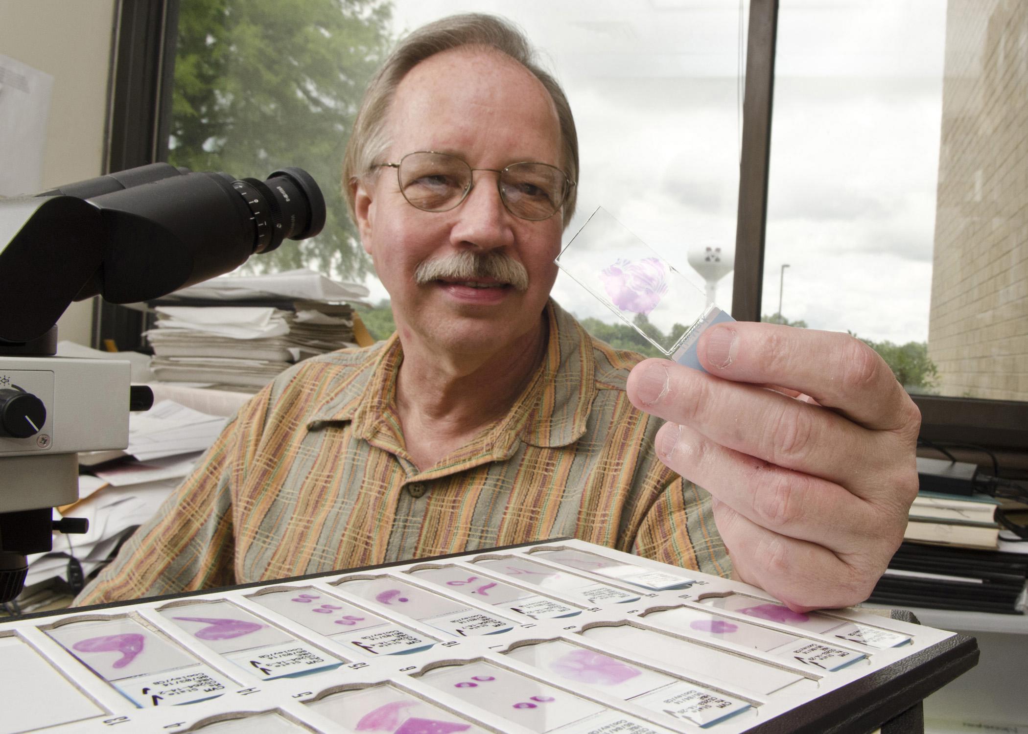 Veterinary researcher Dr. Jim Cooley examines pathology slides in his office at the Mississippi State University College of Veterinary Medicine. Cooley recently worked with a colleague at the University of California-Davis to confirm a new bovine virus in Mississippi that previously had been identified only in California. (Photo by MSU College of Veterinary Medicine/Tom Thompson)