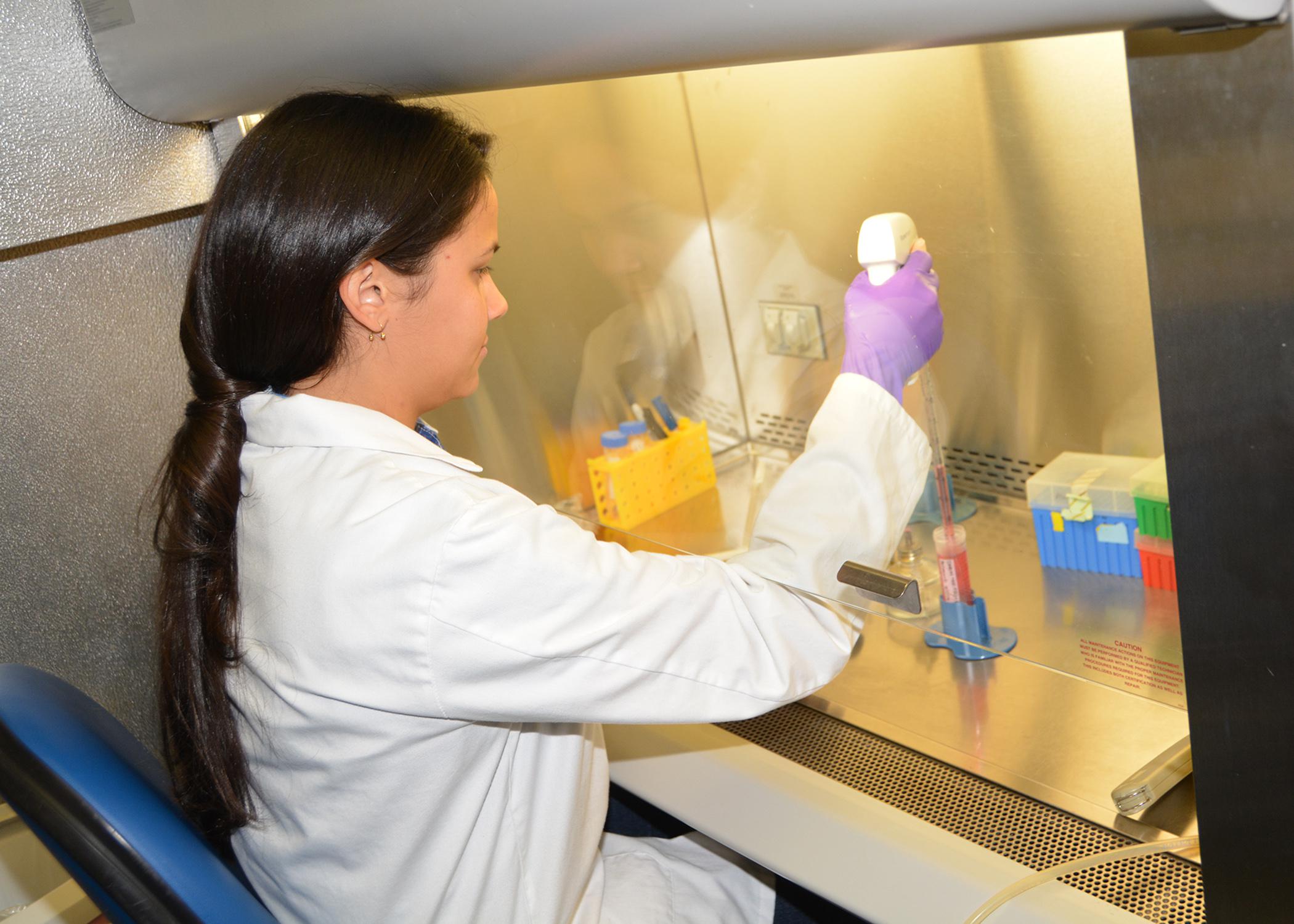 Arabela Viana of Brazil is culturing stem cells from pig tissue on July 16, 2014, as part of a summer research program at Mississippi State University. Viana is a fellow in the MSU College of Veterinary Medicine's Summer Research Experience Program. (Photo by MSU Ag Communications/Linda Breazeale)