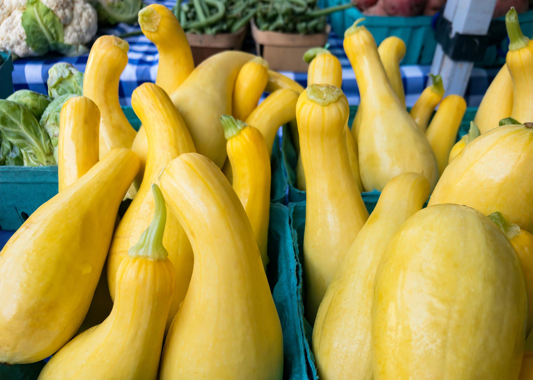 Yellow Squash