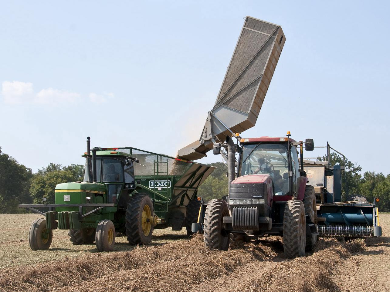 Freshly harvested peanuts are unloaded from a peanut combine on a farm in the Lackey Community near Aberdeen. (Photo by Scott Corey)