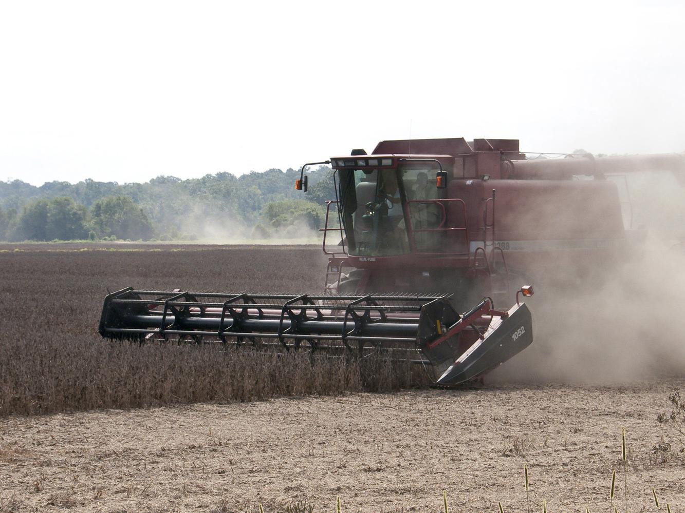 A spread-out planting season means the state's soybean crop will be harvested from early September until the end of October. (file photo)