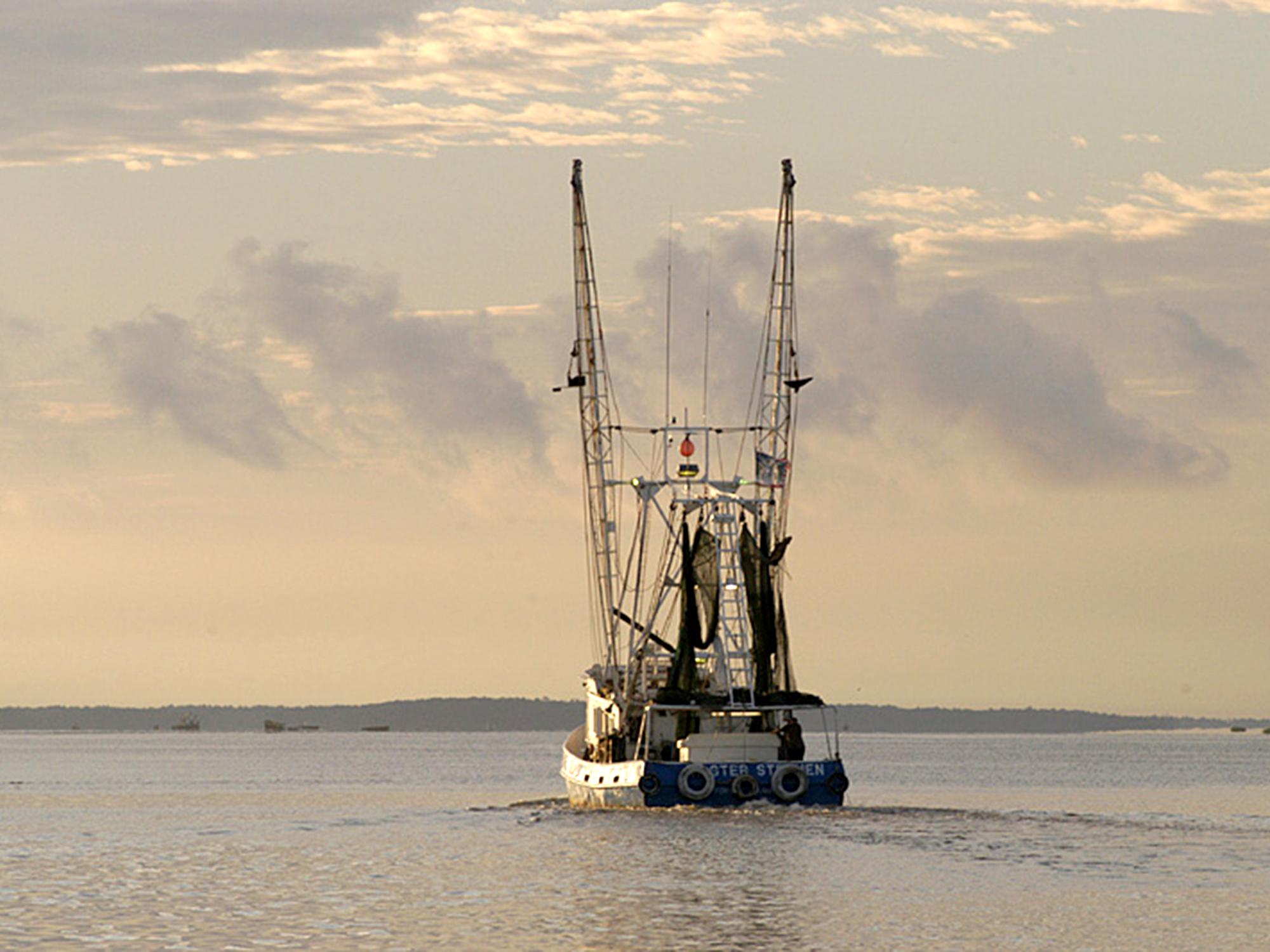 The Master Stephen sets off into the Mississippi Sound off of Biloxi to catch shrimp. (File photo by MSU Extension Service/Dave Burrage)