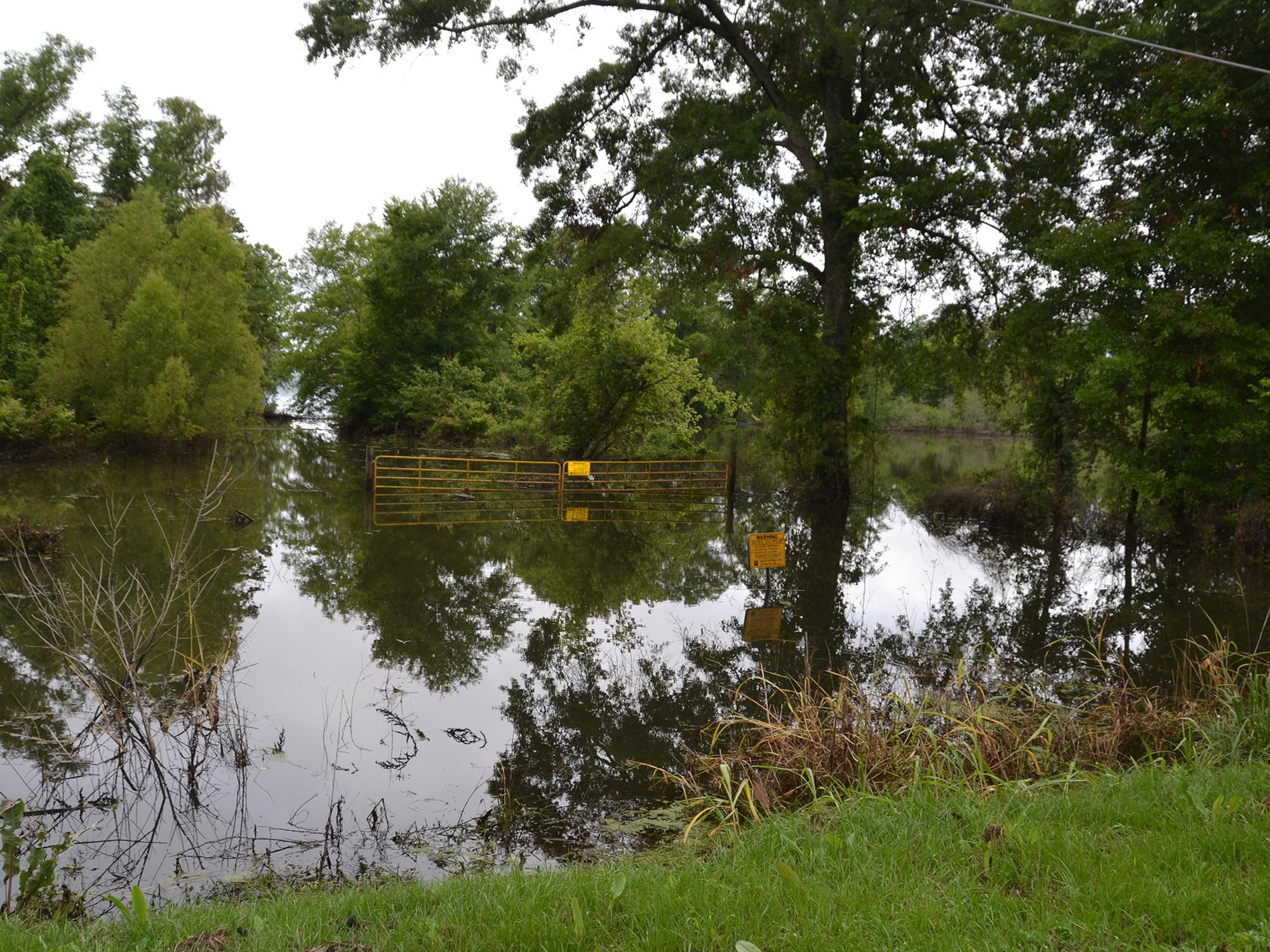 Flood waters from the Mississippi River cover this Warren County soybean field north of Vicksburg, Mississippi, on June 2, 2017. Recent excess rains and river flooding have some corn, cotton and soybean fields under water. (Photo by MSU Extension Service/Susan Collins-Smith)