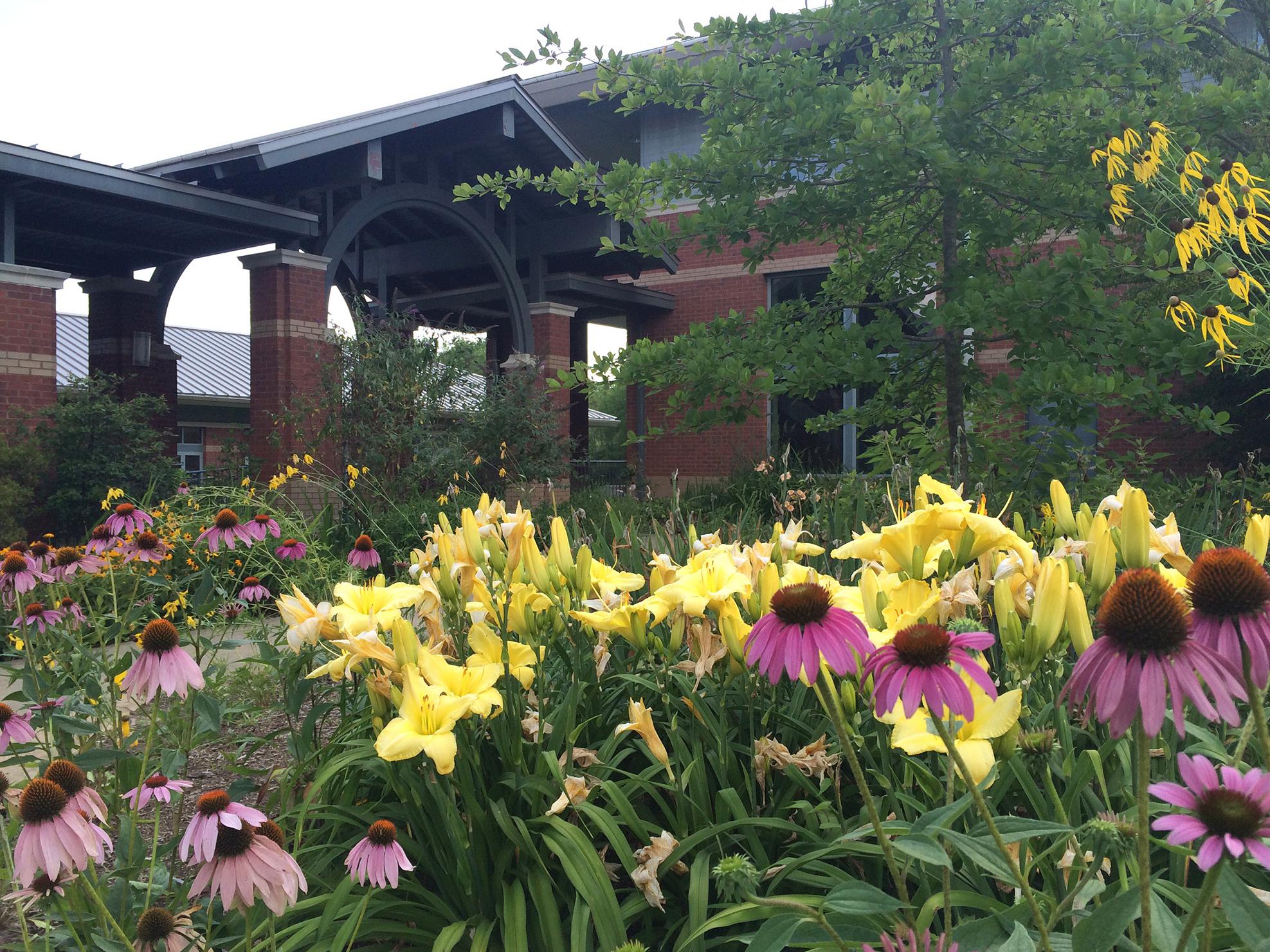 An arched entry of a red brick building is behind a colorful garden of flowers and bushes.