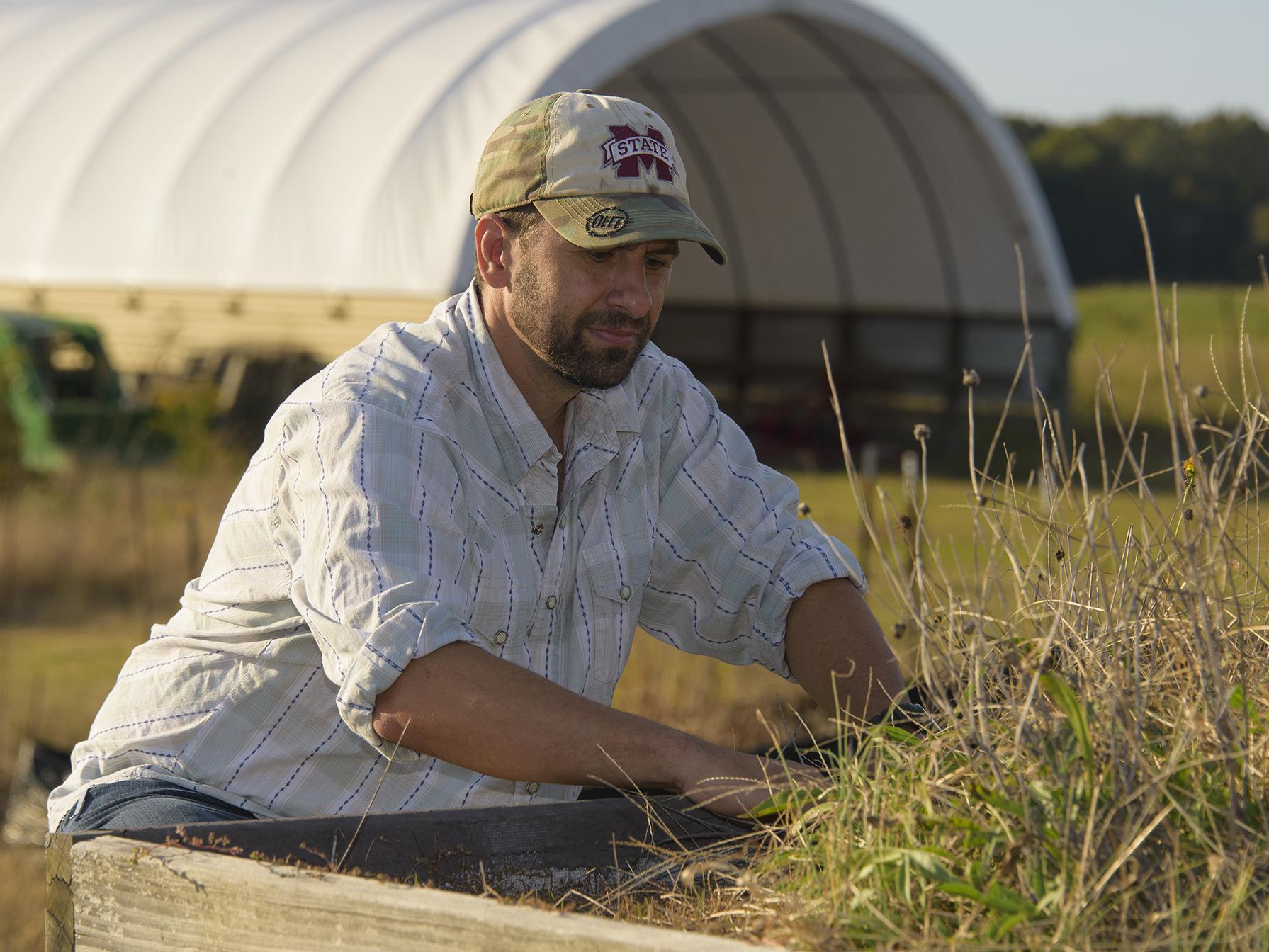 A man in a baseball cap reaches into a patch of grass, while a tractor and a white, high-tunnel structure stand behind him.