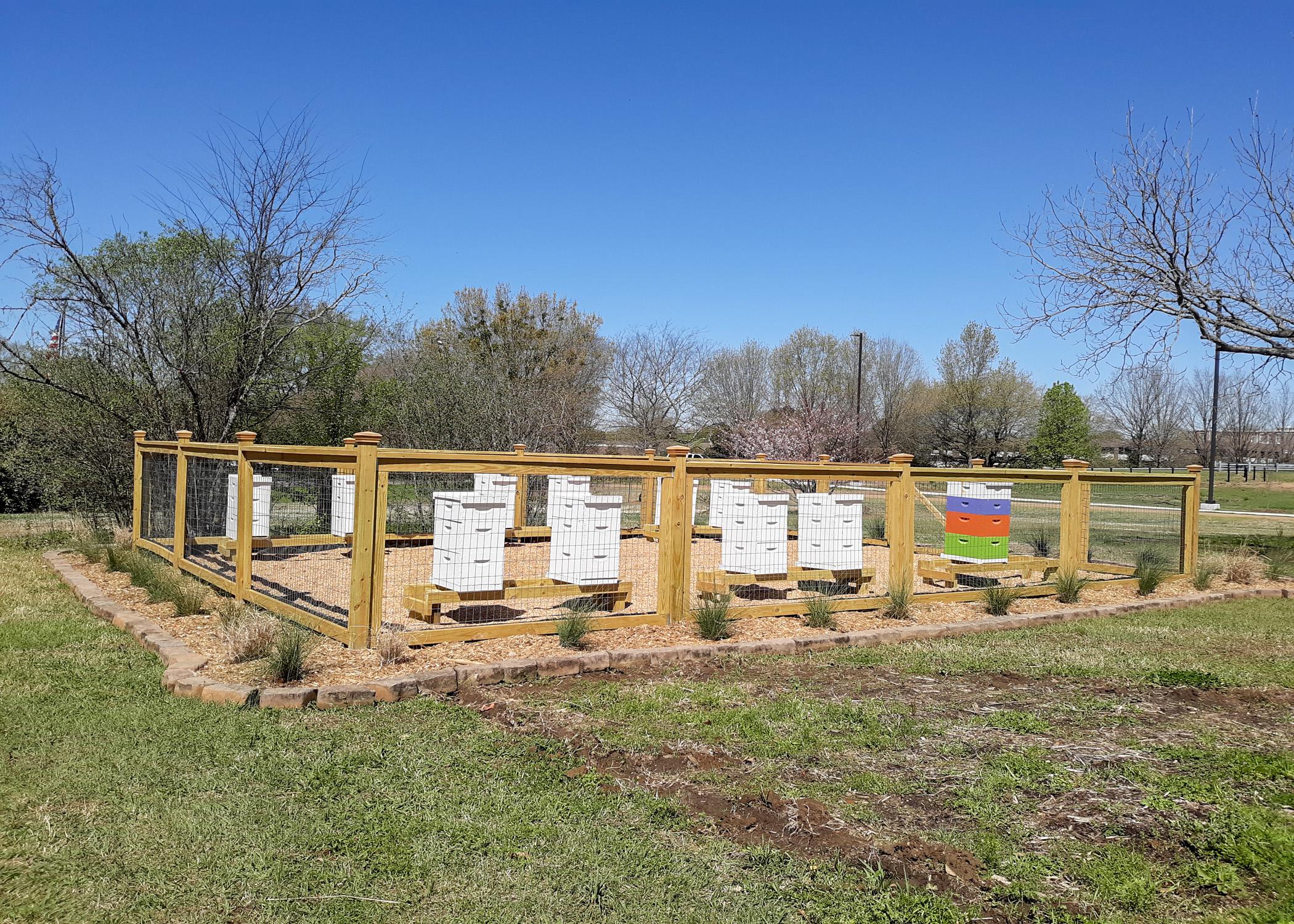 A fenced area encloses several beehives. 