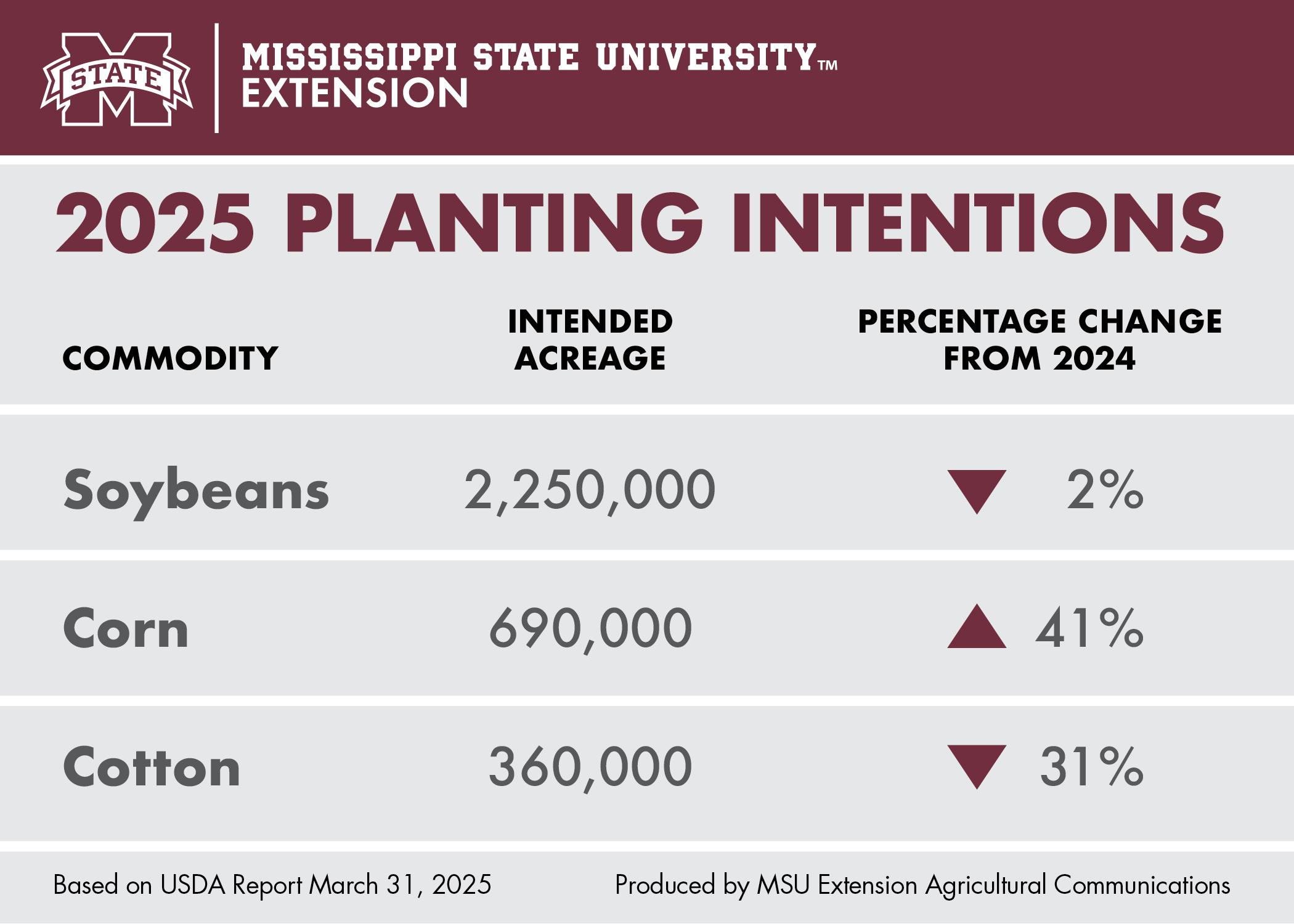 A chart shows the number of acres that Mississippi producers intend to plant in 2025 for the following crops: soybeans, 2.25 million acres, which is 2 percent less than the acreage planted in 2024; corn, 690,000 acres, which is a 41-percent increase from 2024; and cotton, 360,000 acres, which is a 31-percent decrease from 2024’s acreage.