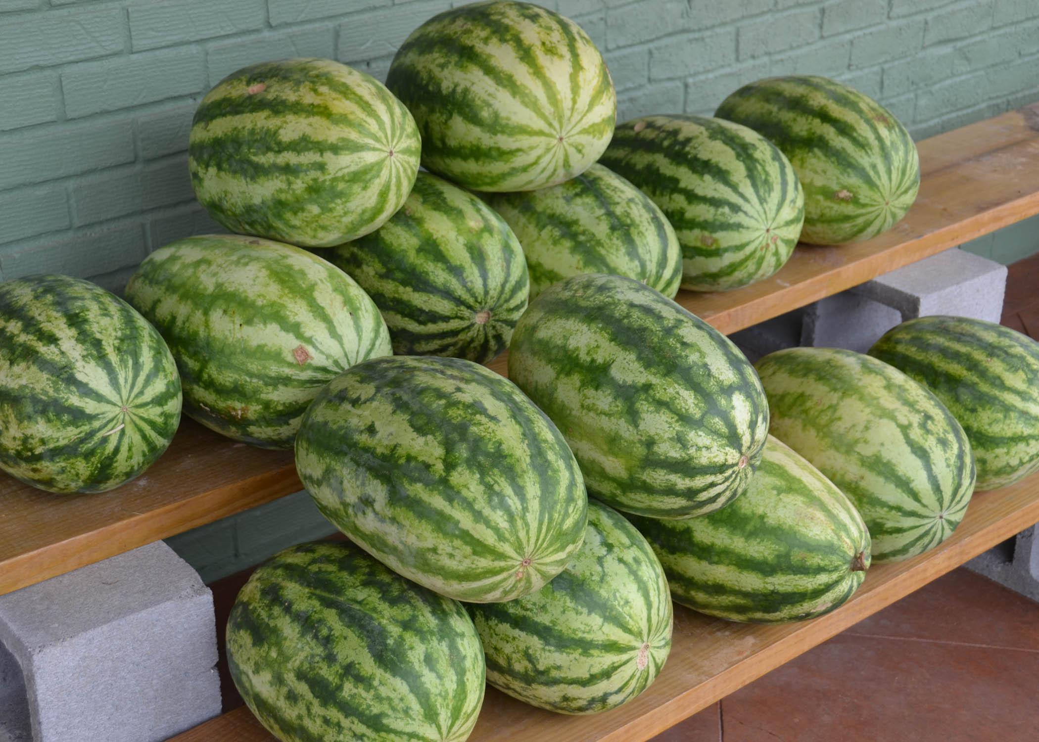 Watermelons sit on shelves outside a local market.