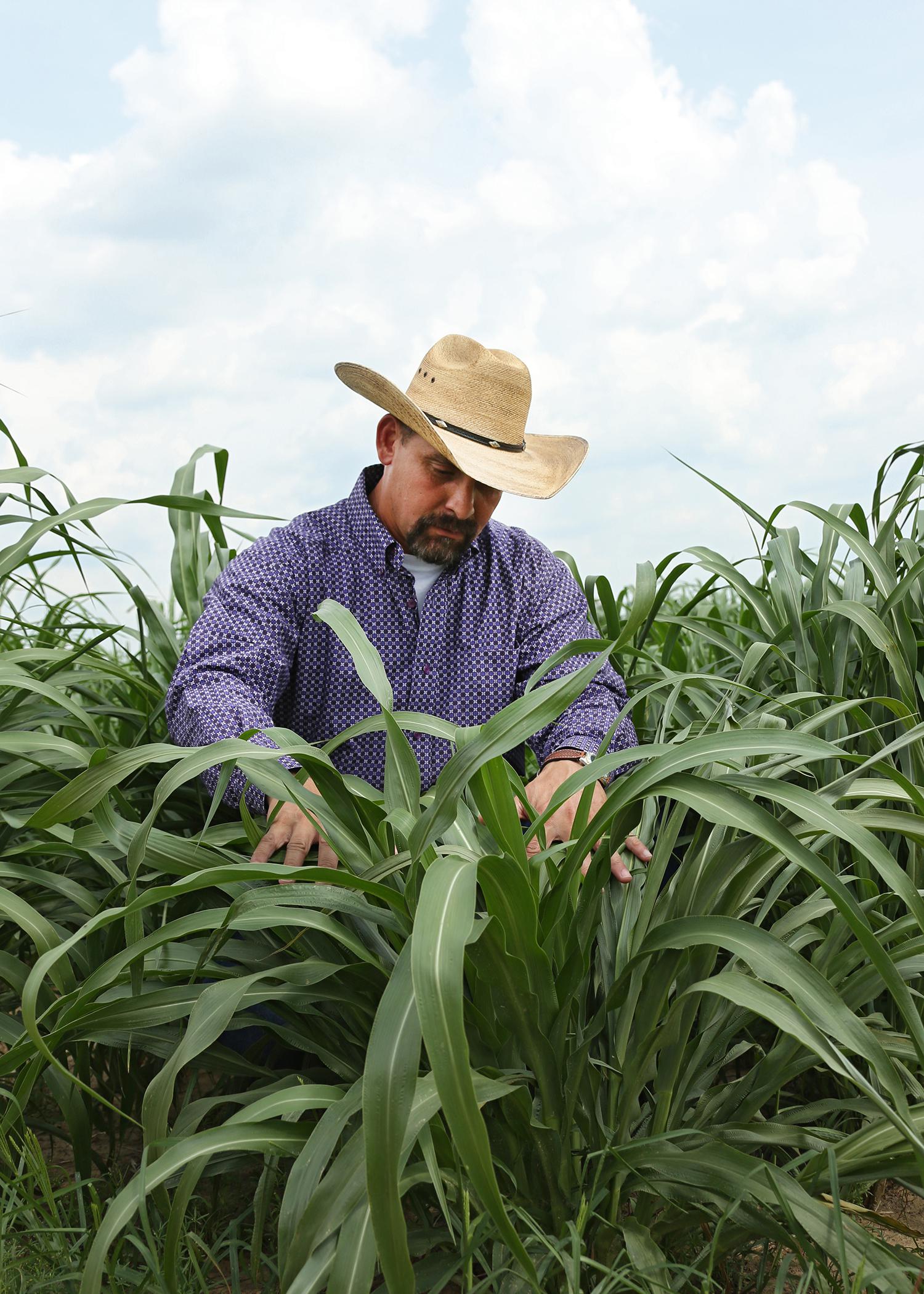 Rocky Lemus, associate professor of forage systems with the Mississippi State University Extension Service and the Mississippi Agricultural and Forestry Experiment Station, leads the MSU official forage variety trials with plots containing 20 different species and 110 varieties at four locations across the state. (Photo by MSU Extension/Kat Lawrence)