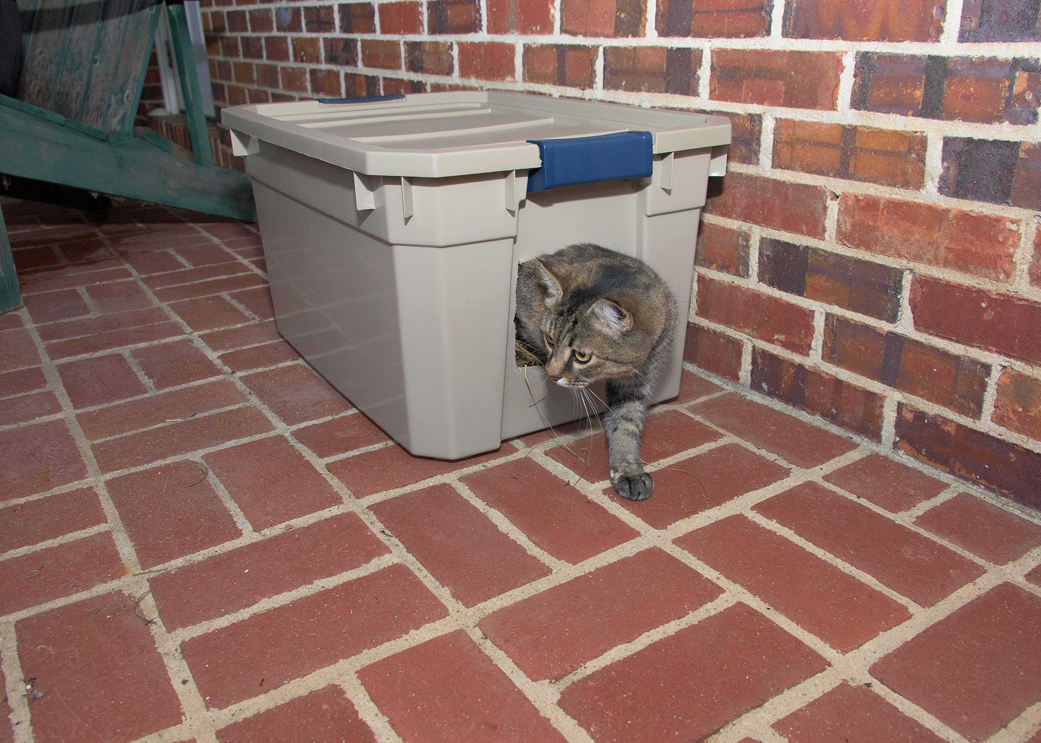 Shelters for pets, such as this cat box, provide a dry place to eat and a warm bed to escape cold weather. (Photo by MSU Extension Service/Kevin Hudson)