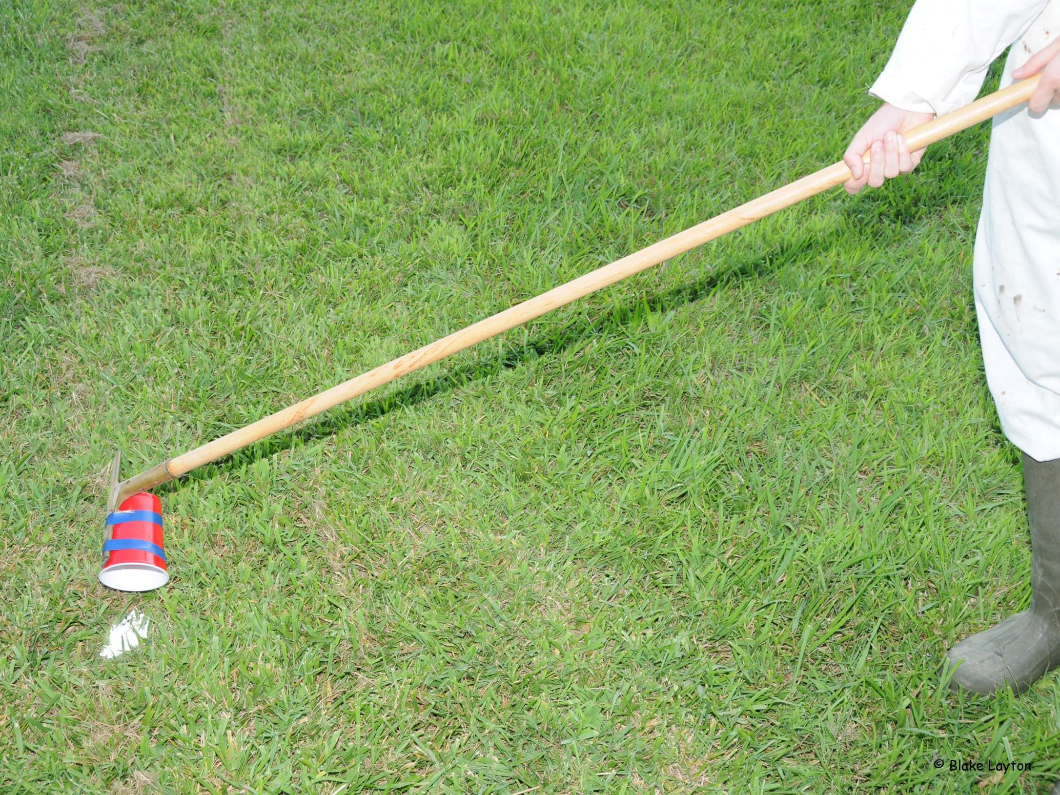 Person using a disposable cup taped to a long stick to dump insecticidal dust over yellowjacket nest entrance.