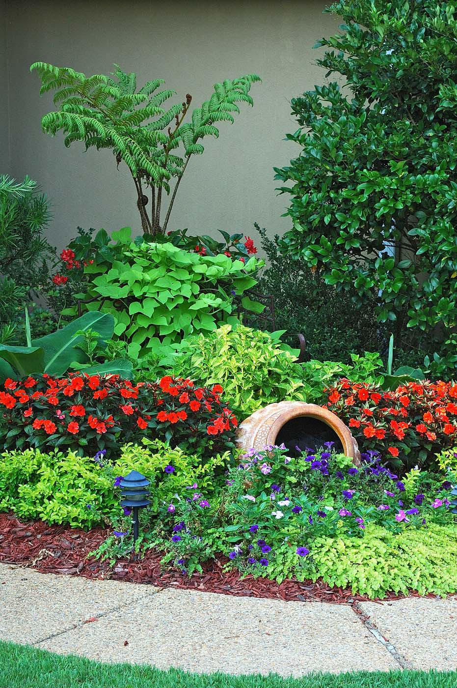 A tall urn holds a tree fern surrounded by Dragon Wing Red begonias and Marguerite sweet potatoes. Electric Lime coleus, SunPatiens Vigorous Red impatiens, Gold Mound duranta and Goldilocks lysimachia are layered in the bed around it, and Super Dwarf Cavendish bananas flank the planting.