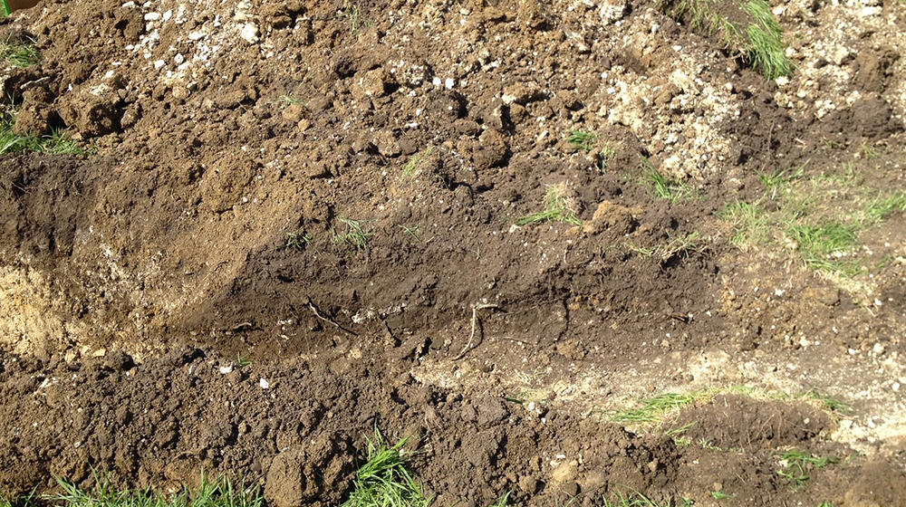 Soil pit on the H. H. Leveck Animal Research Center at MSU.