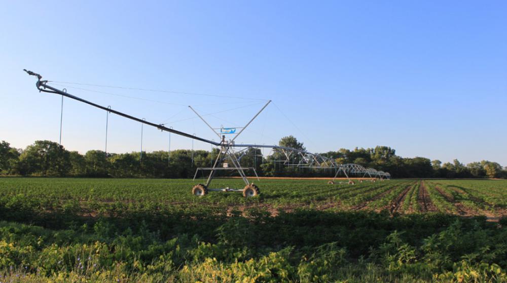 Mississippi Agriculture