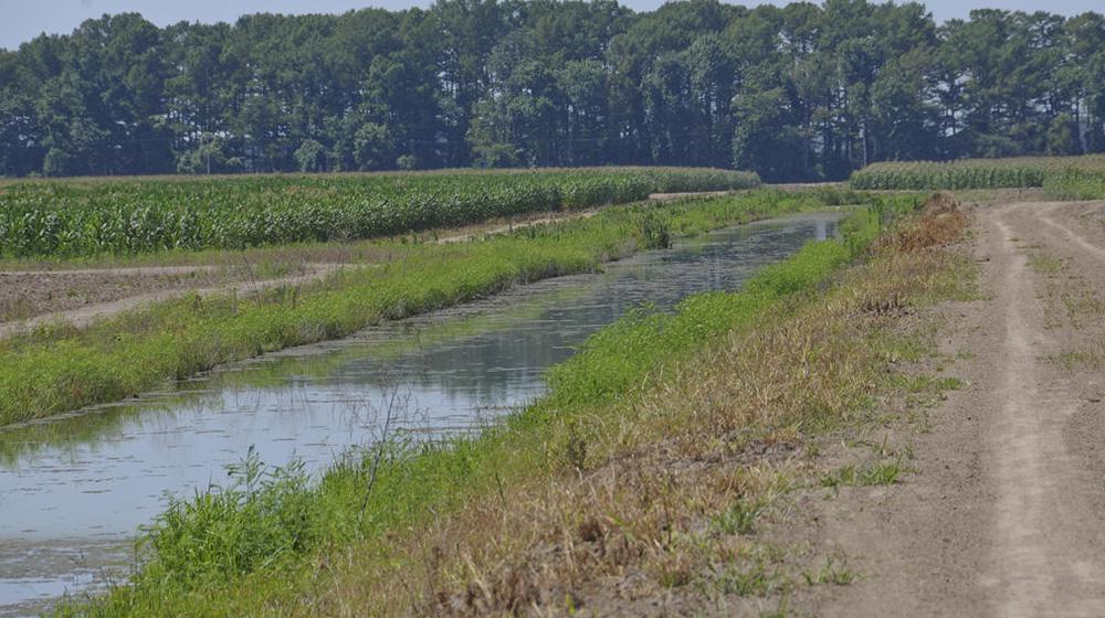 Surface water holding system on farm.