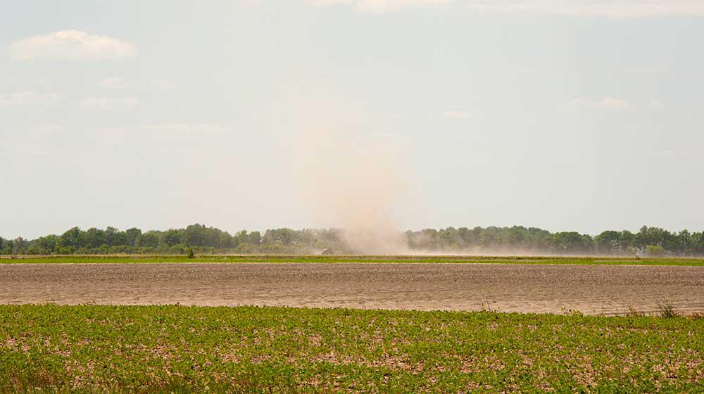 Tractor in distance on delta farm.