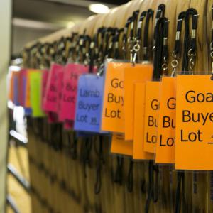 Orange, blue, and red papers with different category names printed on them hang off of lanyards.