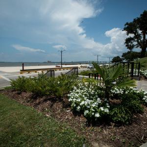 A flower arrangement beside a sidewalk and in front of the ocean.