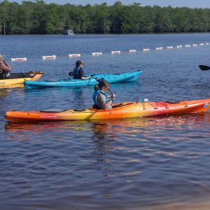 Red, orange, yellow and blue kayaks with children rowing on them in the water.