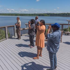 A group of people on a deck and using binoculars to look out over a lake.