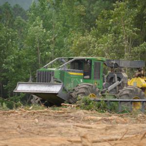 A piece of logging equipment.