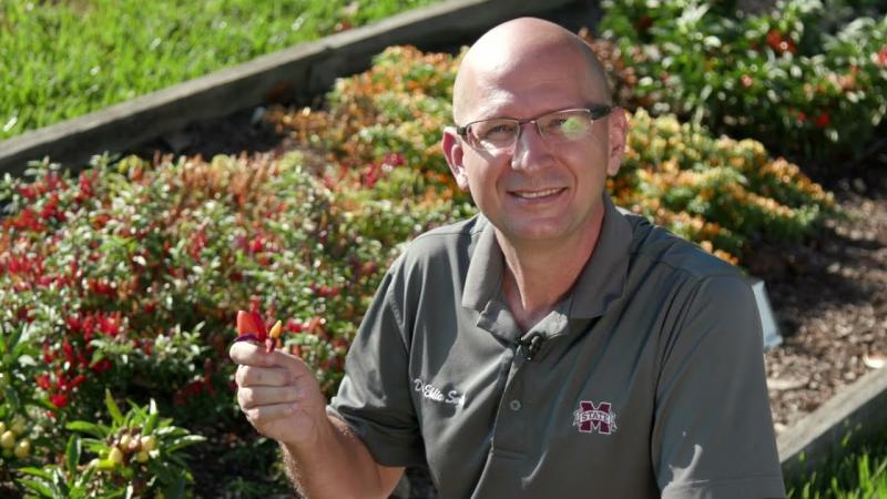 Ornamental Peppers, October 2023