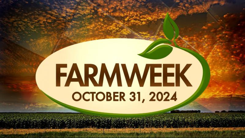 Farmweek | October 31, 2024 | Full Show