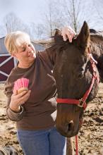 Sally Tipton of Starkville cares for a 26-year-old thoroughbred retired race horse named, Teak. Teak's gray patch of hair on his forehead is a typical sign of aging.